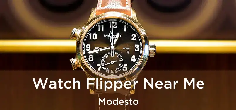 Watch Flipper Near Me Modesto